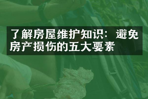了解房屋维护知识：避免房产损伤的五大要素