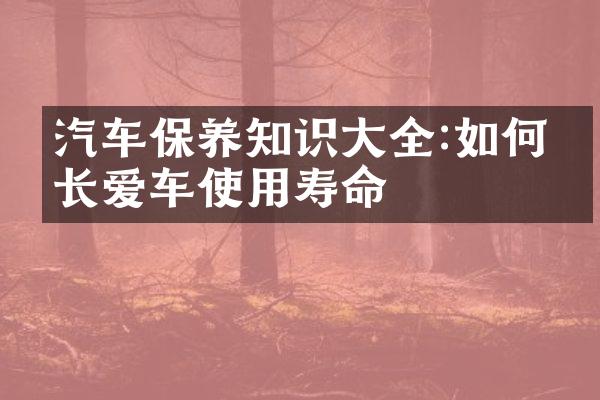 汽车保养知识大全:如何延长爱车使用寿命