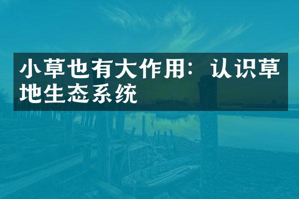 小草也有大作用：认识草地生态系统