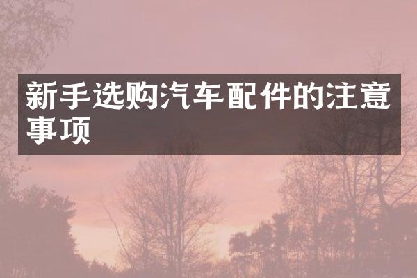 新手选购汽车配件的注意事项