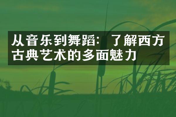 从音乐到舞蹈：了解西方古典艺术的多面魅力