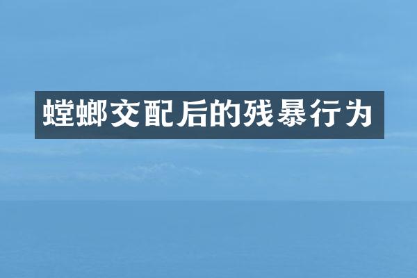 螳螂交配后的残暴行为