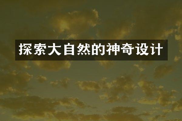 探索大自然的神奇设计