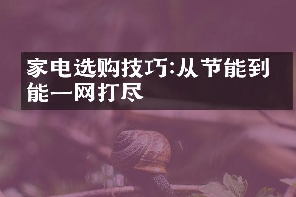 家电选购技巧:从节能到智能一网打尽