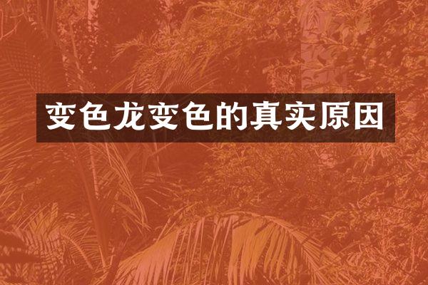 变色龙变色的真实原因