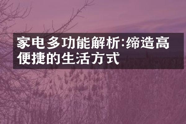 家电多功能解析:缔造高效便捷的生活方式