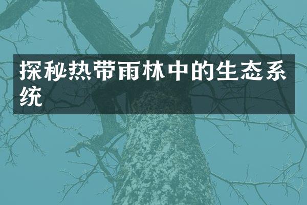 探秘热带雨林中的生态系统