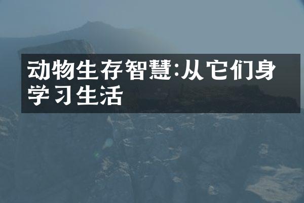 动物生存智慧:从它们身上学习生活