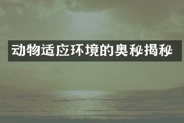动物适应环境的奥秘揭秘