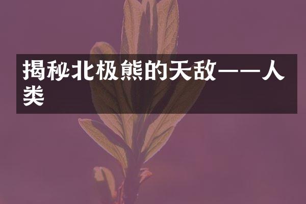 揭秘北极熊的天敌——人类