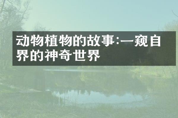 动物植物的故事:一窥自然界的神奇世界