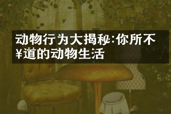 动物行为大揭秘:你所不知道的动物生活