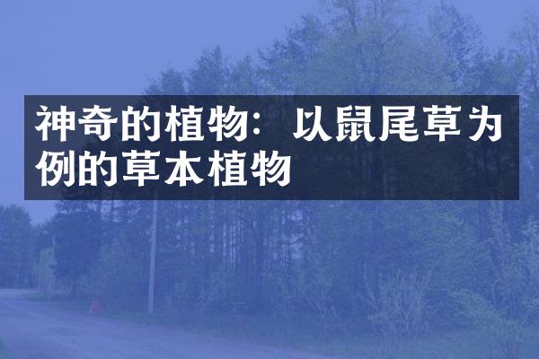 神奇的植物：以鼠尾草为例的草本植物