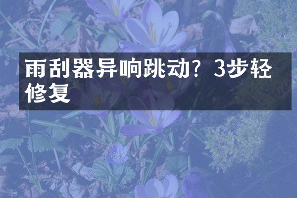 雨刮器异响跳动？3步轻松修复