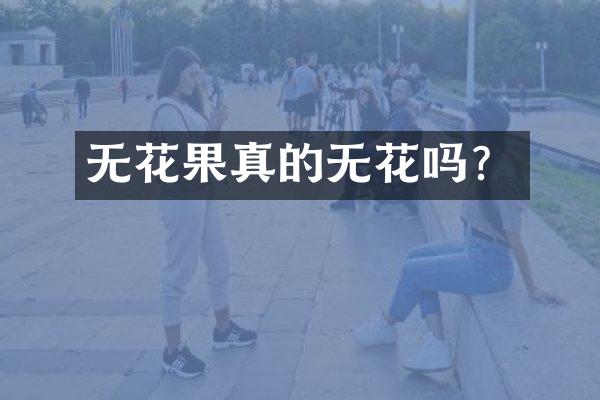 无花果真的无花吗？