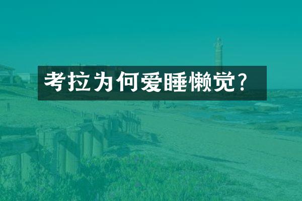 考拉为何爱睡懒觉？