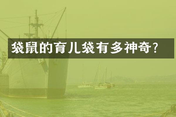 袋鼠的育儿袋有多神奇？