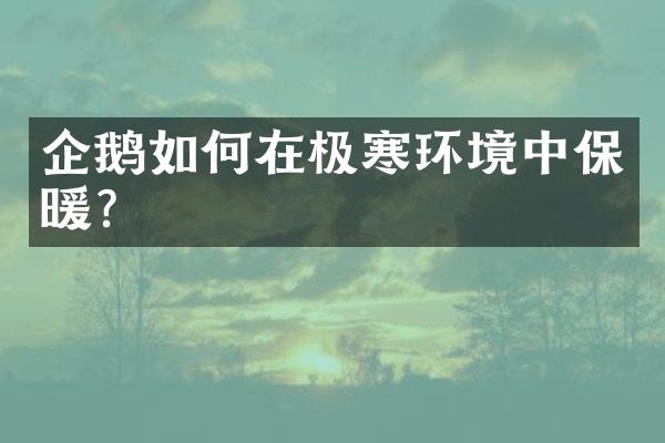 企鹅如何在极寒环境中保暖？