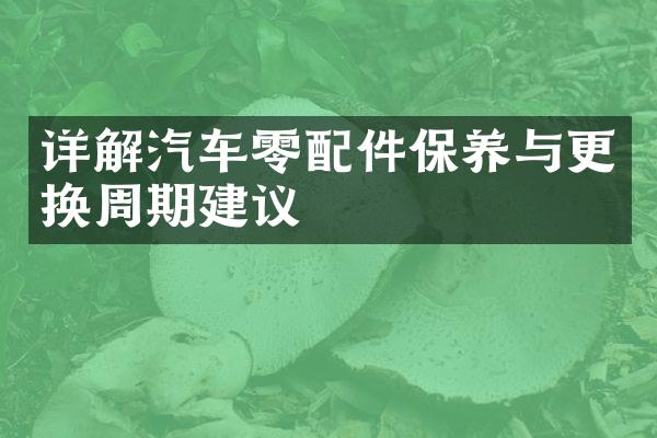 详解汽车零配件保养与更换周期建议