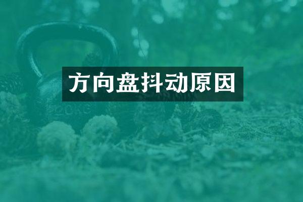 方向盘抖动原因