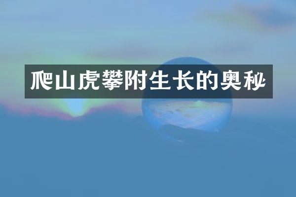 爬山虎攀附生长的奥秘