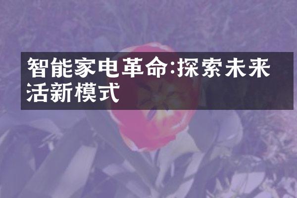 智能家电革命:探索未来生活新模式