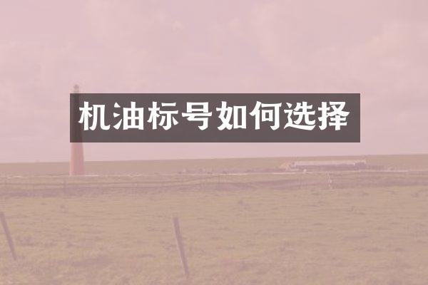 机油标号如何选择