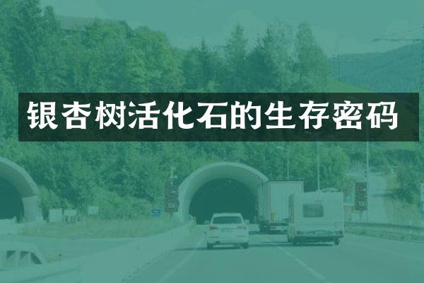 银杏树活化石的生存密码