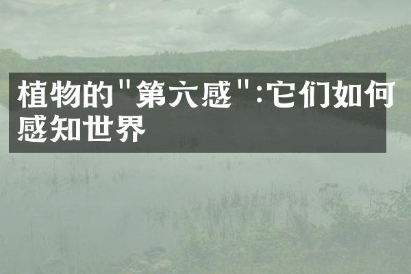 植物的"第六感":它们如何感知世界