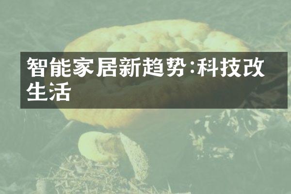 智能家居新趋势:科技改变生活