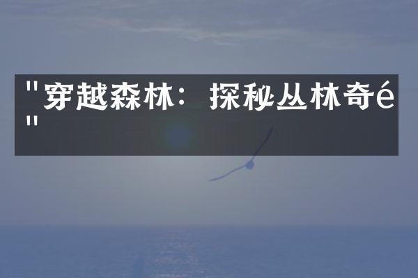 "穿越森林：探秘丛林奇遇"
