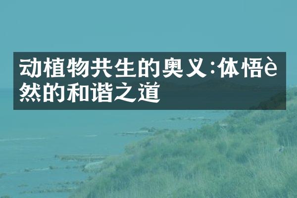 动植物共生的奥义:体悟自然的和谐之道