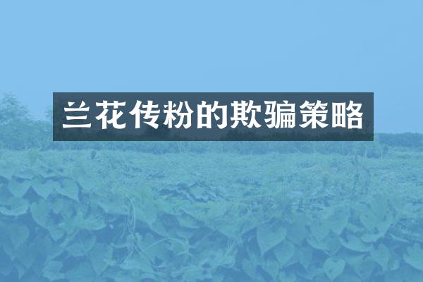 兰花传粉的欺骗策略