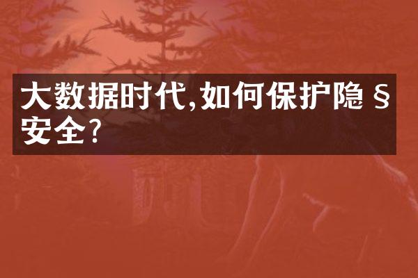大数据时代,如何保护隐私安全?