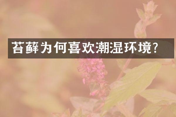 苔藓为何喜欢潮湿环境？