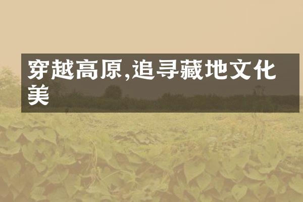 穿越高原,追寻藏地文化之美
