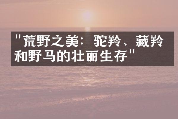 "荒野之美：驼羚、藏羚羊和野马的壮丽生存"