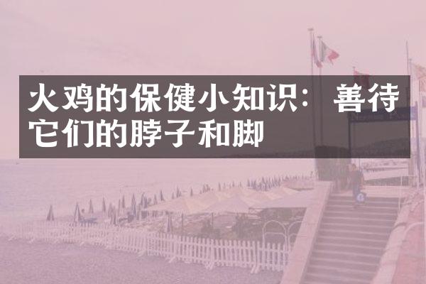 火鸡的保健小知识：善待它们的脖子和脚