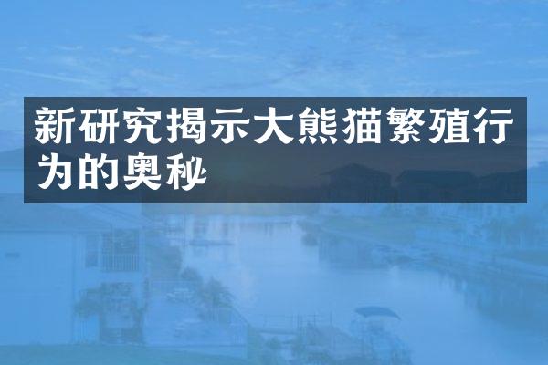 新研究揭示大熊猫繁殖行为的奥秘
