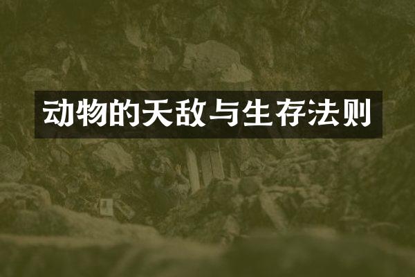 动物的天敌与生存法则