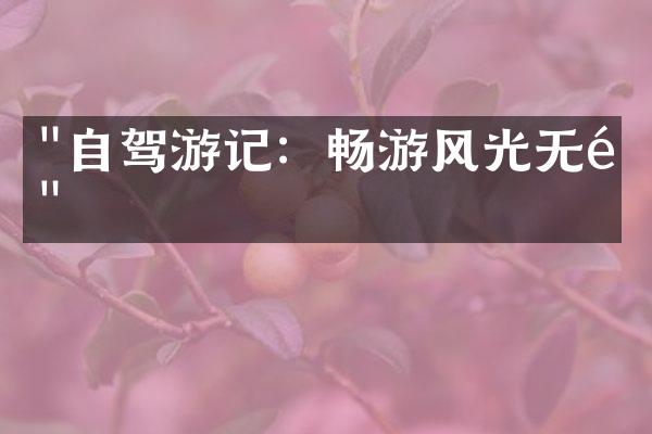 "自驾游记：畅游风光无限"
