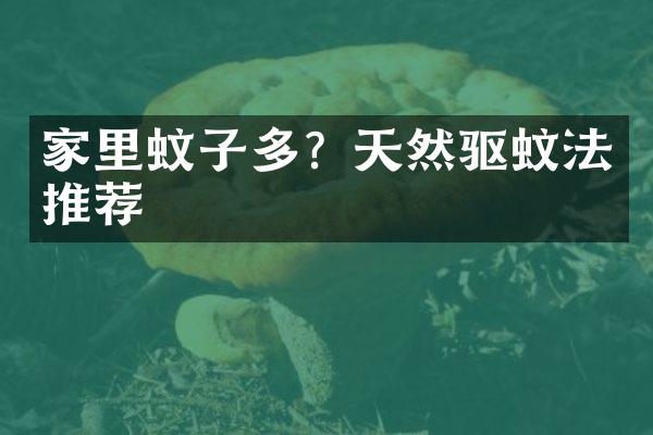 家里蚊子多？天然驱蚊法推荐