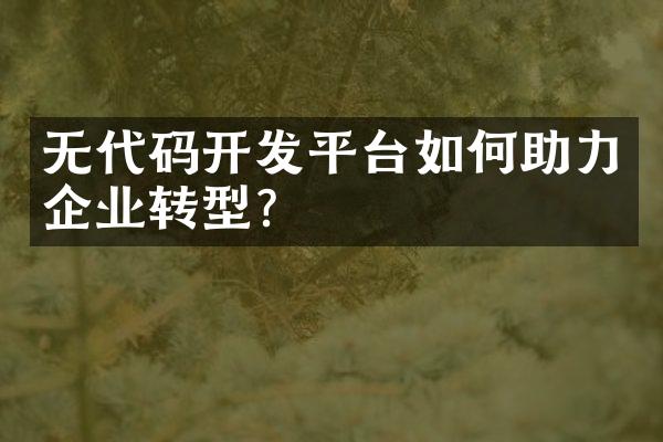 无代码开发平台如何助力企业转型？
