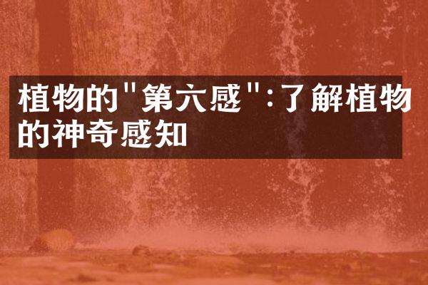 植物的"第六感":了解植物的神奇感知