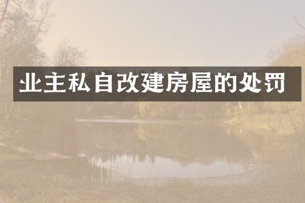 业主私自改建房屋的处罚