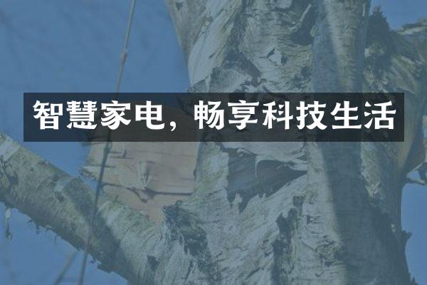 智慧家电, 畅享科技生活