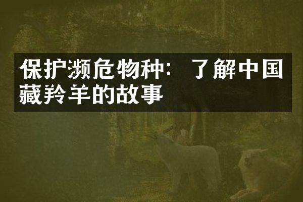 保护濒危物种：了解中国藏羚羊的故事