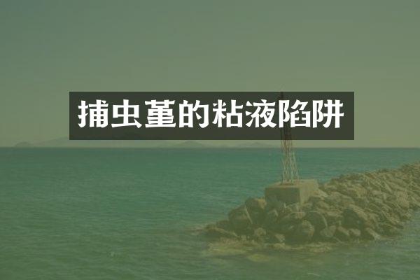 捕虫堇的粘液陷阱