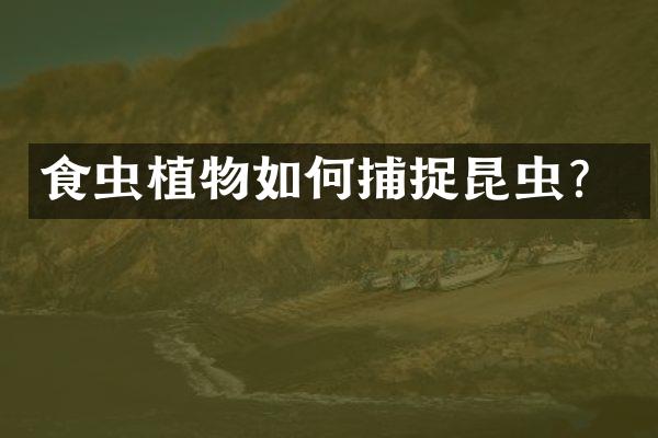 食虫植物如何捕捉昆虫？