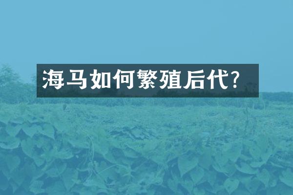 海马如何繁殖后代？